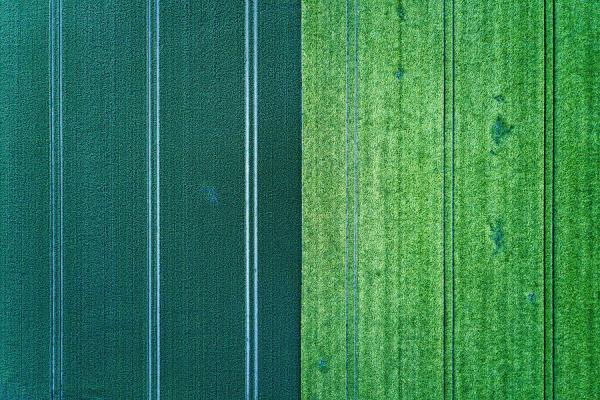 Abdrücke / Imprints