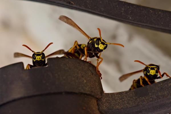 Startklar / Ready to go